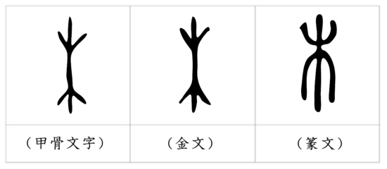 漢字の成り立ち 木 漢字の成り立ちや意味をイラストや絵を使って解説 漢字の成り立ち博士