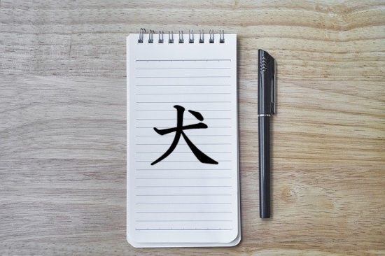 漢字の成り立ち 犬 漢字の成り立ち 意味 読み方 画数 書き順を解説 漢字の成り立ち博士