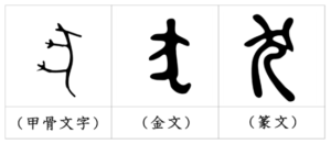 漢字の成り立ち 犬 漢字の成り立ちや意味をイラストや絵を使って解説 漢字の成り立ち博士