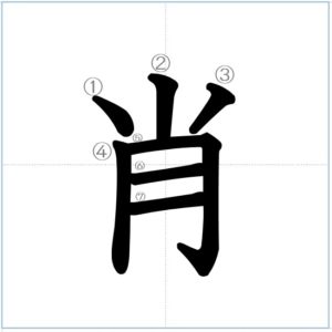 漢字の成り立ち 肖 漢字の成り立ち 意味 読み方 画数 書き順を解説 漢字の成り立ち博士