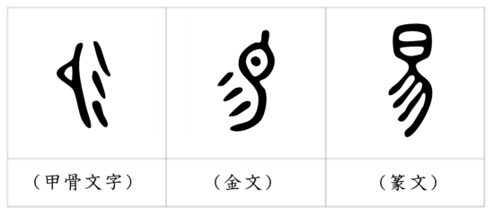 漢字の成り立ち 易 漢字の成り立ち 意味 読み方 画数 書き順を解説 漢字の成り立ち博士
