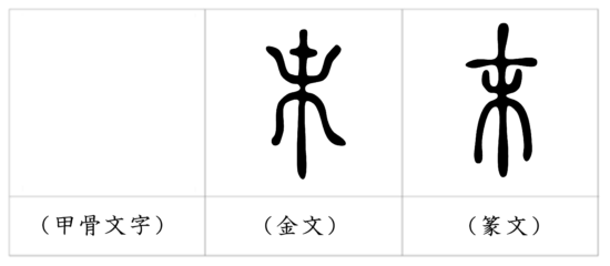 漢字 末 の成り立ちは木の上の方に印をつけ一番遠い所を指している 漢字の成り立ち 意味 読み方 画数 書き順を解説 漢字の成り立ち博士
