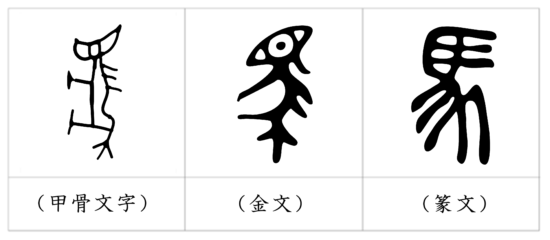 象形文字である 馬 の成り立ちとは 漢字の意味 読み方 画数 部首一覧 漢字の成り立ちや意味をイラストや絵を使って解説 漢字の成り立ち博士